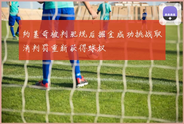 约基奇被判犯规后掘金成功挑战取消判罚重新获得球权