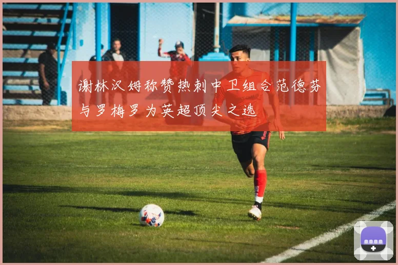 谢林汉姆称赞热刺中卫组合范德芬与罗梅罗为英超顶尖之选