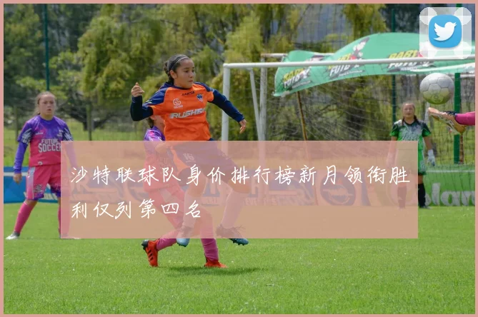 沙特联球队身价排行榜新月领衔胜利仅列第四名
