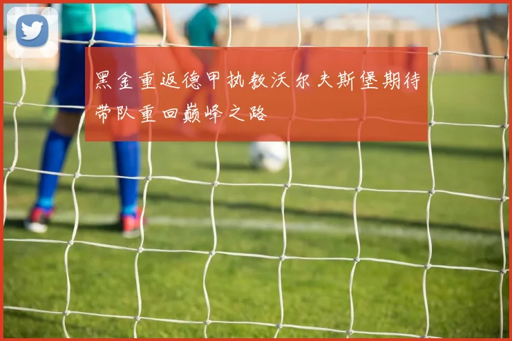 黑金重返德甲执教沃尔夫斯堡期待带队重回巅峰之路